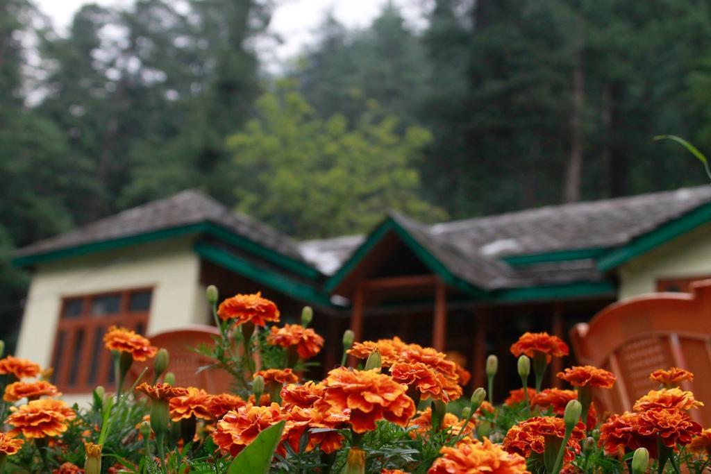 Parvati Kuteer Riverside Resort Kasol Ngoại thất bức ảnh