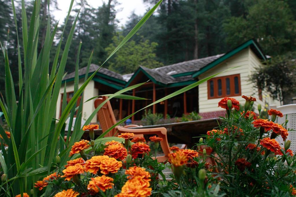 Parvati Kuteer Riverside Resort Kasol Ngoại thất bức ảnh