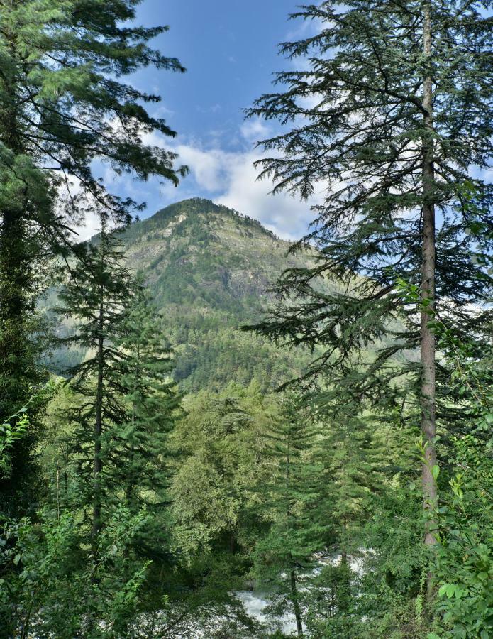 Parvati Kuteer Riverside Resort Kasol Ngoại thất bức ảnh